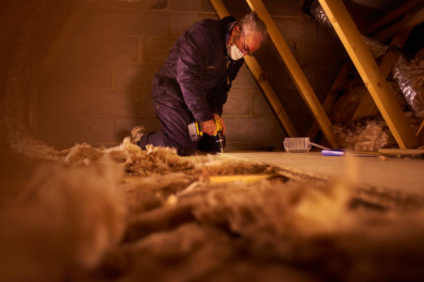 Best Insulation Maintenance and Repair in Russells Point, OH